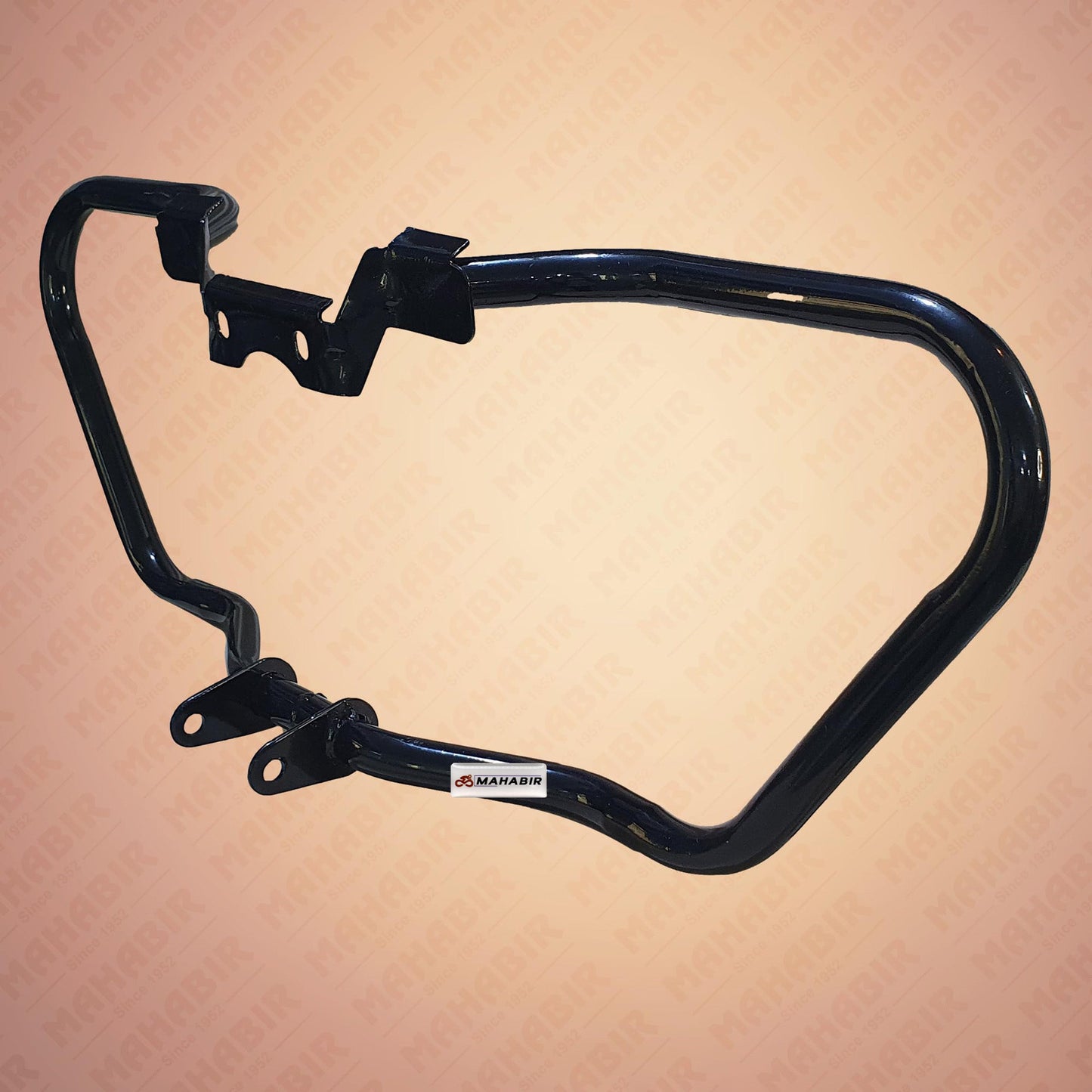 LEG GUARD FZ V3 & V4