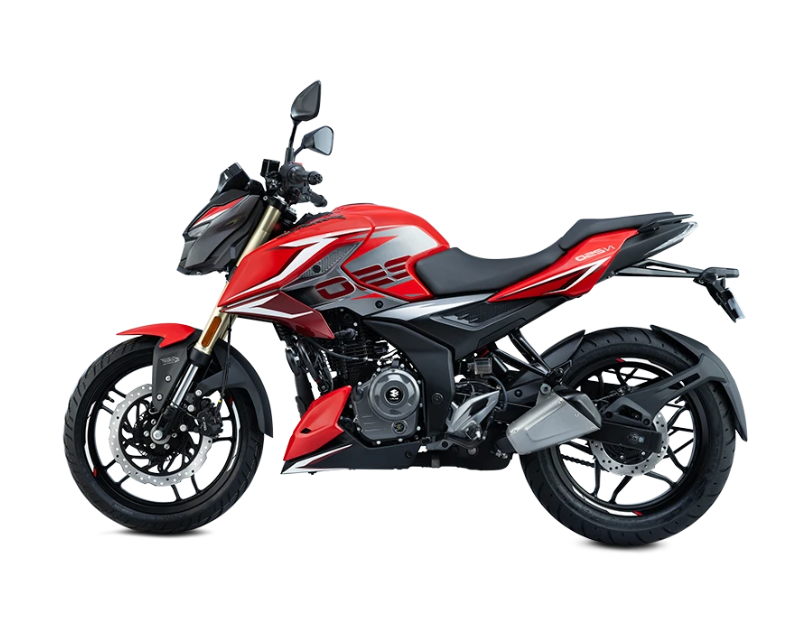 PULSAR N250 ACCESSORIES