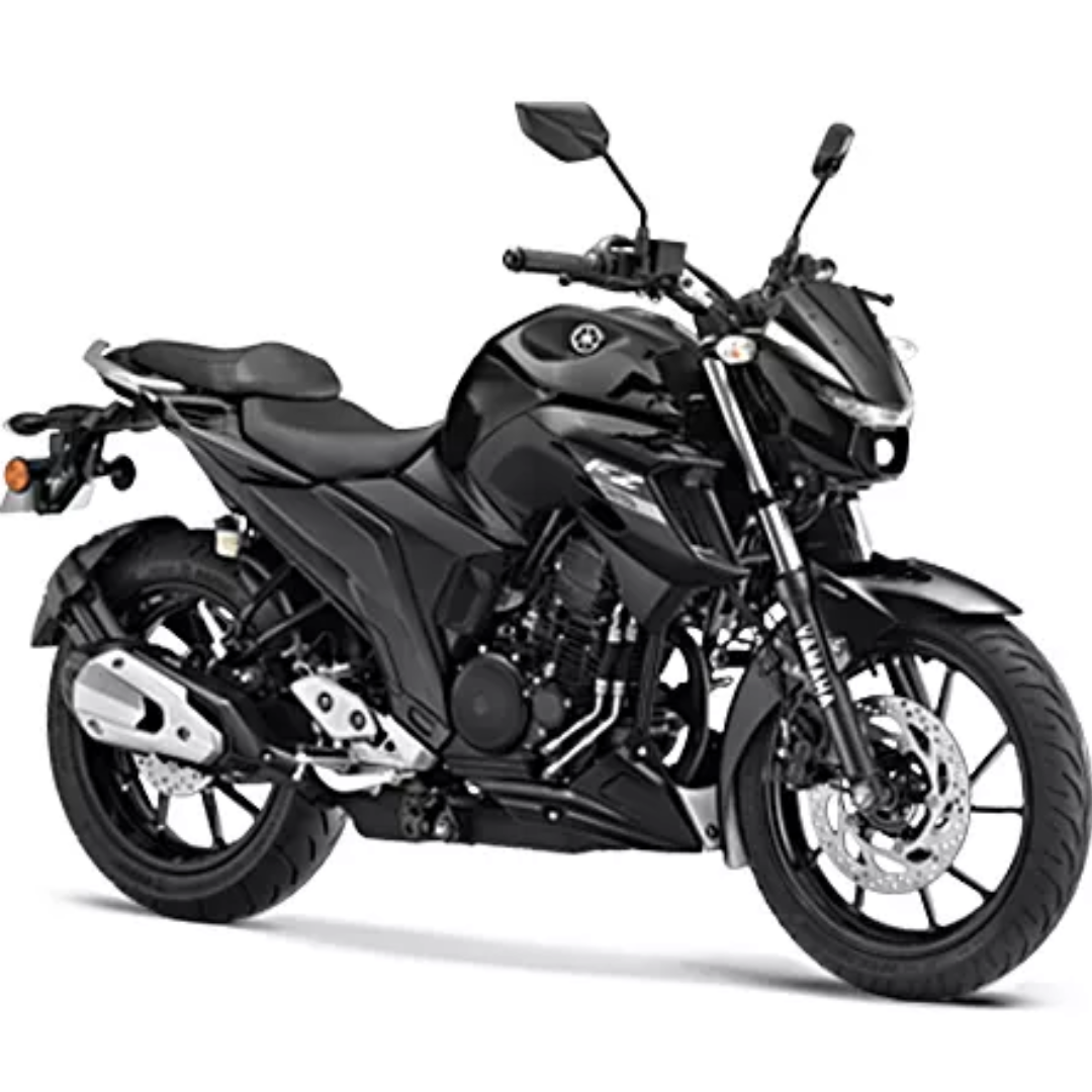 FZS 25 Accessories